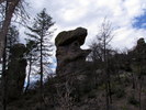 photo thumbnail #7
