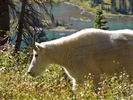 photo thumbnail #7