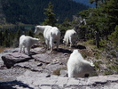 photo thumbnail #12