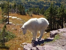 photo thumbnail #14