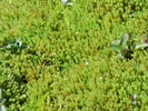 photo thumbnail #15
