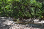 photo thumbnail #10