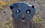 photo thumbnail #7