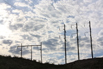 photo thumbnail #5