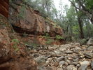 photo thumbnail #8