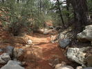 photo thumbnail #15