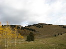 photo thumbnail #3
