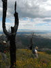 photo thumbnail #13