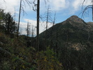 photo thumbnail #14