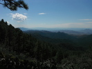 photo thumbnail #2