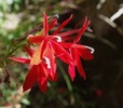 photo thumbnail #13