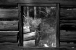 photo thumbnail #10