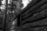 photo thumbnail #11