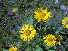 photo thumbnail #6