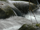photo thumbnail #13
