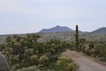 photo thumbnail #7