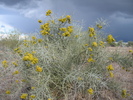 photo thumbnail #9