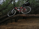 photo thumbnail #13