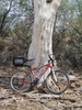photo thumbnail #14