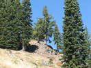 photo thumbnail #2