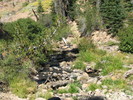 photo thumbnail #10