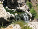 photo thumbnail #11