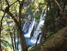 photo thumbnail #11