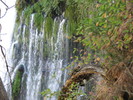photo thumbnail #13