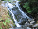 Featured Full Photo