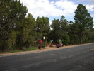 photo thumbnail #1