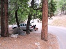 photo thumbnail #2