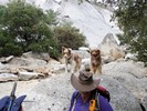 photo thumbnail #6