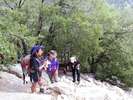 photo thumbnail #7