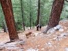 photo thumbnail #12