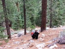 photo thumbnail #13