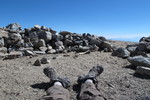 photo thumbnail #14