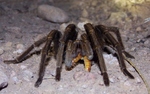 photo thumbnail #5