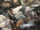 photo thumbnail #4
