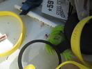 photo thumbnail #5