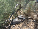 photo thumbnail #3
