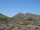 photo thumbnail #8