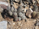 photo thumbnail #12