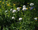 photo thumbnail #11