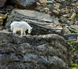 photo thumbnail #14