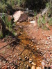 2012-09-26 :2: Tonto Trail: South Kaibab to Bright Angel :: cactuscat