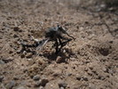 photo thumbnail #13