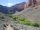 photo thumbnail #15