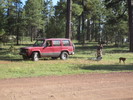 photo thumbnail #10