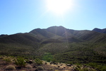photo thumbnail #5