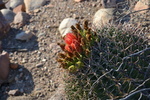 photo thumbnail #3